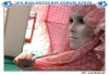 Nazwa pliku: Forum Szkół 2007_435.jpg
Rozmiar pliku: 645KB
Wymiary: 970x670
Data dodania: 20 Kwietnia 2007 Forum Szkół 2007_435.jpg