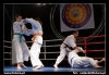 Nazwa pliku: 081129-0183-karate.jpg
Rozmiar pliku: 94KB
Wymiary: 720x497
Data dodania: 01 Grudnia 2008 081129-0183-karate.jpg