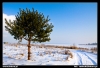 Nazwa pliku: 29 090114-0553-Białowieża.jpg
Rozmiar pliku: 166KB
Wymiary: 720x493
Data dodania: 23 Stycznia 2009 29 090114-0553-Białowieża.jpg