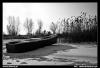 Nazwa pliku: 31 090114-0588-Białowieża.jpg
Rozmiar pliku: 152KB
Wymiary: 720x493
Data dodania: 23 Stycznia 2009 31 090114-0588-Białowieża.jpg