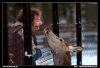 Nazwa pliku: 43 090116-0872-Białowieża.jpg
Rozmiar pliku: 123KB
Wymiary: 720x493
Data dodania: 23 Stycznia 2009 43 090116-0872-Białowieża.jpg