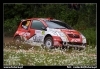 0030 Rally Poland.jpg