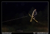 Nazwa pliku: 090725-0170-nocne skoki.jpg
Rozmiar pliku: 60KB
Wymiary: 720x497
Data dodania: 27 Lipca 2009 090725-0170-nocne skoki.jpg