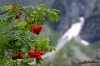 Nazwa pliku: 090907-0108-Morskie Oko czb.jpg
Rozmiar pliku: 375KB
Wymiary: 720x480
Data dodania: 14 Września 2009 090907-0108-Morskie Oko czb.jpg