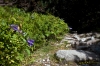 090908-0295-Morskie Oko czb.jpg