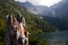 Nazwa pliku: 090909-0757-Morskie Oko czb.jpg
Rozmiar pliku: 282KB
Wymiary: 720x480
Data dodania: 14 Września 2009 090909-0757-Morskie Oko czb.jpg