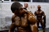 Nazwa pliku: 091115-1417-bodybuilding.jpg
Rozmiar pliku: 78KB
Wymiary: 720x480
Data dodania: 21 Listopada 2009 091115-1417-bodybuilding.jpg