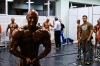 Nazwa pliku: 091115-1650-bodybuilding.jpg
Rozmiar pliku: 95KB
Wymiary: 720x480
Data dodania: 21 Listopada 2009 091115-1650-bodybuilding.jpg