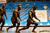 Nazwa pliku: 091115-1959-bodybuilding.jpg
Rozmiar pliku: 135KB
Wymiary: 720x480
Data dodania: 21 Listopada 2009 091115-1959-bodybuilding.jpg