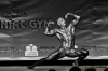 Nazwa pliku: 091115-2204-bodybuilding.jpg
Rozmiar pliku: 79KB
Wymiary: 720x480
Data dodania: 21 Listopada 2009 091115-2204-bodybuilding.jpg