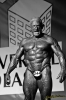 091115-2488-bodybuilding.jpg