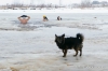 Nazwa pliku: 110109-0117-mors.jpg
Rozmiar pliku: 82KB
Wymiary: 720x480
Data dodania: 10 Stycznia 2011 110109-0117-mors.jpg