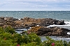 Nazwa pliku: 27 110625-0782-Bornholm.jpg
Rozmiar pliku: 169KB
Wymiary: 720x480
Data dodania: 30 Czerwca 2011 27 110625-0782-Bornholm.jpg