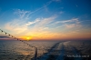 Nazwa pliku: 33 110626-0967-Bornholm.jpg
Rozmiar pliku: 131KB
Wymiary: 720x480
Data dodania: 30 Czerwca 2011 33 110626-0967-Bornholm.jpg