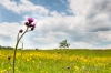 120602-0093-plener Bieszczady.jpg