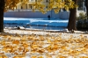 Nazwa pliku: 121029_0015_zima.jpg
Rozmiar pliku: 1195KB
Wymiary: 1500x1000
Data dodania: 24 Lutego 2014 121029_0015_zima.jpg