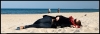 Nazwa pliku: 72 Gdańsk_Sopot.jpg
Rozmiar pliku: 411KB
Wymiary: 1200x415
Data dodania: 17 Lipca 2007 72 Gdańsk_Sopot.jpg