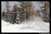 Nazwa pliku: Bad Kleinkirchheim 15.jpg
Rozmiar pliku: 564KB
Wymiary: 900x616
Data dodania: 28 Marca 2006 Bad Kleinkirchheim 15.jpg