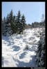 Nazwa pliku: Bad Kleinkirchheim 45 a.jpg
Rozmiar pliku: 282KB
Wymiary: 438x640
Data dodania: 28 Marca 2006 Bad Kleinkirchheim 45 a.jpg