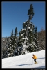 Nazwa pliku: Bad Kleinkirchheim 57.jpg
Rozmiar pliku: 281KB
Wymiary: 438x640
Data dodania: 28 Marca 2006 Bad Kleinkirchheim 57.jpg