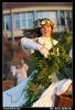 Nazwa pliku: 1217 Finalistki Miss World.jpg
Rozmiar pliku: 109KB
Wymiary: 418x610
Data dodania: 13 Września 2006 1217 Finalistki Miss World.jpg