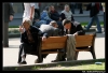 Nazwa pliku: Lwow 223.JPG
Rozmiar pliku: 152KB
Wymiary: 900x616
Data dodania: 14 Maja 2006 Lwow 223.JPG