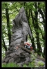 Nazwa pliku: Lwow 522.JPG
Rozmiar pliku: 157KB
Wymiary: 438x640
Data dodania: 14 Maja 2006 Lwow 522.JPG