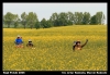 Nazwa pliku: 004 rajd polski.jpg
Rozmiar pliku: 640KB
Wymiary: 900x628
Data dodania: 28 Lipca 2006 004 rajd polski.jpg