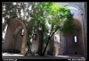 Nazwa pliku: 006 Palermo.jpg
Rozmiar pliku: 439KB
Wymiary: 900x616
Data dodania: 15 Września 2006 006 Palermo.jpg