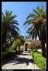 Nazwa pliku: 023 Palermo.jpg
Rozmiar pliku: 224KB
Wymiary: 418x610
Data dodania: 15 Września 2006 023 Palermo.jpg