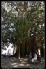 Nazwa pliku: 043 Palermo.jpg
Rozmiar pliku: 274KB
Wymiary: 418x610
Data dodania: 15 Września 2006 043 Palermo.jpg