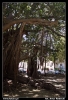 Nazwa pliku: 044 Palermo.jpg
Rozmiar pliku: 258KB
Wymiary: 418x610
Data dodania: 15 Września 2006 044 Palermo.jpg