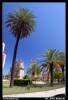 Nazwa pliku: 058 Palermo.jpg
Rozmiar pliku: 201KB
Wymiary: 418x610
Data dodania: 15 Wrze¶nia 2006 058 Palermo.jpg
