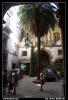 Nazwa pliku: 099 Palermo.jpg
Rozmiar pliku: 197KB
Wymiary: 418x610
Data dodania: 15 Września 2006 099 Palermo.jpg