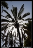 Nazwa pliku: 112 Palermo.jpg
Rozmiar pliku: 212KB
Wymiary: 418x610
Data dodania: 15 Września 2006 112 Palermo.jpg