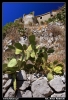 Nazwa pliku: 061 Taormina.jpg
Rozmiar pliku: 259KB
Wymiary: 418x610
Data dodania: 15 Września 2006 061 Taormina.jpg