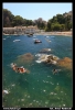 Nazwa pliku: 096 Taormina.jpg
Rozmiar pliku: 203KB
Wymiary: 418x610
Data dodania: 15 Września 2006 096 Taormina.jpg