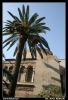 Nazwa pliku: 016 Messina.jpg
Rozmiar pliku: 199KB
Wymiary: 418x610
Data dodania: 15 Września 2006 016 Messina.jpg