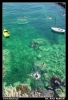 Nazwa pliku: 12 Aci Castello.jpg
Rozmiar pliku: 244KB
Wymiary: 418x610
Data dodania: 15 Września 2006 12 Aci Castello.jpg