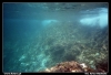 Nazwa pliku: 40 Aci Castello.jpg
Rozmiar pliku: 237KB
Wymiary: 900x616
Data dodania: 15 Września 2006 40 Aci Castello.jpg