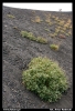 63 Etna.jpg