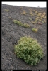Nazwa pliku: 63 Etna.jpg
Rozmiar pliku: 356KB
Wymiary: 418x610
Data dodania: 15 Września 2006 63 Etna.jpg