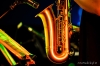 Nazwa pliku: 83 101126-0115-blues.jpg
Rozmiar pliku: 410KB
Wymiary: 1000x667
Data dodania: 09 Lipca 2012 83 101126-0115-blues.jpg