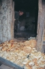 Nazwa pliku: tybet_052.JPG
Rozmiar pliku: 212KB
Wymiary: 484x730
Data dodania: 09 Grudnia 2005 tybet_052.JPG