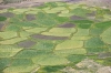 Nazwa pliku: kinaur2_071.JPG
Rozmiar pliku: 167KB
Wymiary: 730x484
Data dodania: 12 Grudnia 2005 kinaur2_071.JPG