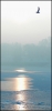 Nazwa pliku: ptaszki_03.jpg
Rozmiar pliku: 214KB
Wymiary: 730x1552
Data dodania: 01 Kwietnia 2006 ptaszki_03.jpg