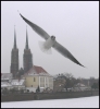 Nazwa pliku: ptaszki_18.jpg
Rozmiar pliku: 142KB
Wymiary: 730x793
Data dodania: 01 Kwietnia 2006 ptaszki_18.jpg