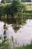 Nazwa pliku: ws011.jpg
Rozmiar pliku: 149KB
Wymiary: 531x800
Data dodania: 14 Października 2005 ws011.jpg