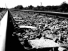 Nazwa pliku: ws044.jpg
Rozmiar pliku: 142KB
Wymiary: 758x569
Data dodania: 14 Października 2005 ws044.jpg