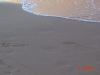 Nazwa pliku: ws127.JPG
Rozmiar pliku: 123KB
Wymiary: 640x480
Data dodania: 14 Października 2005 ws127.JPG